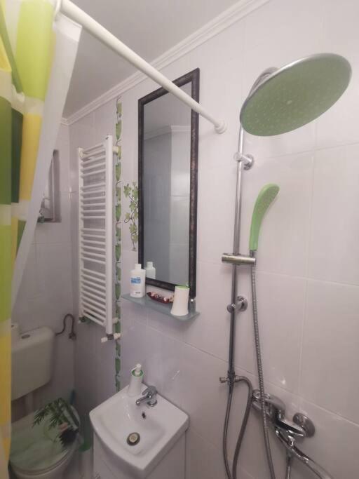 Tth Apartament Apartment Timisoara Ngoại thất bức ảnh